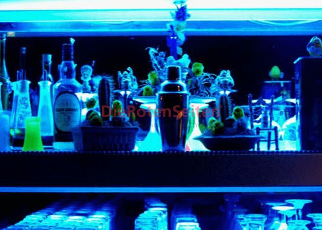 New Cleopatra Club Privé